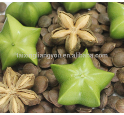 plukenetia volubilis sacha inchi seeds cashew nut shelling machine